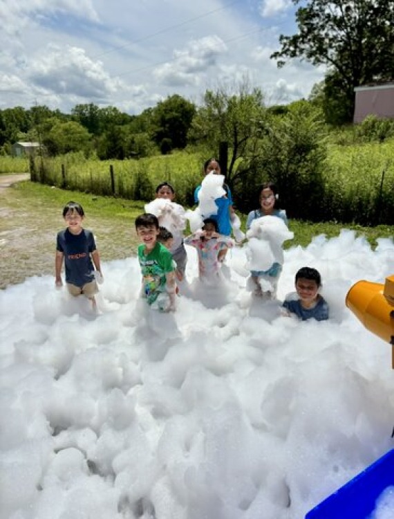 Foam and Bubbles